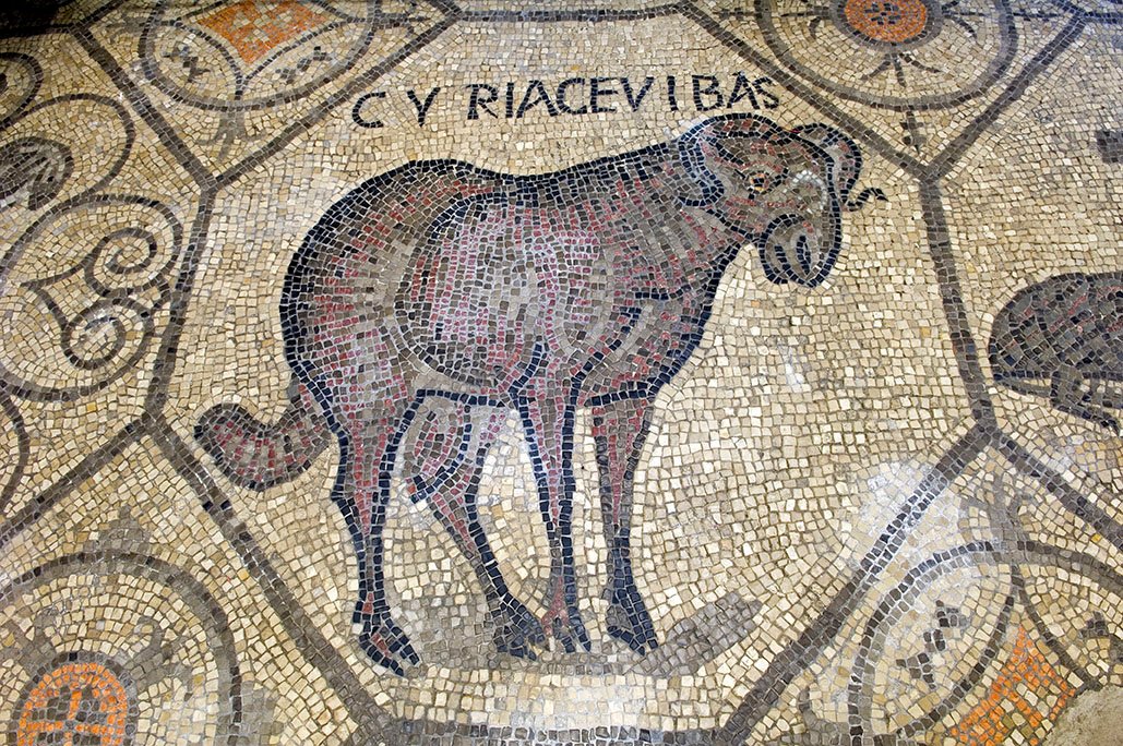 pavimento a mosaico (tappeto musivo) della basilica di aquileia