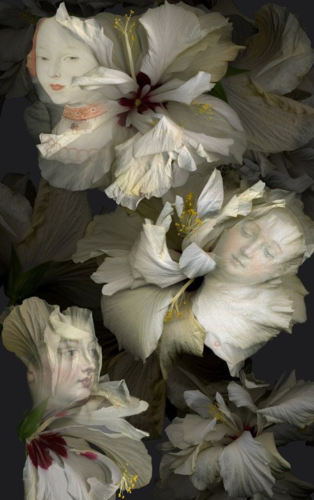 "Hibiscus blancos. Canción de primavera" (2017). Paloma Navares.