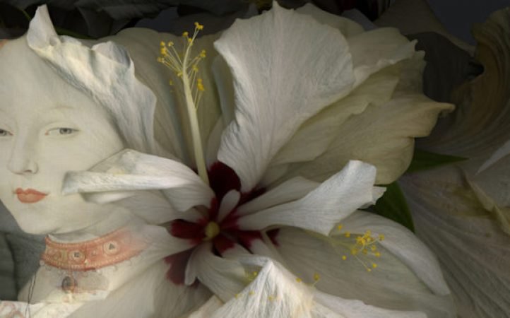 Hibiscus-detalle.jpg
